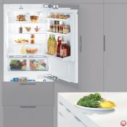 Встраиваемый холодильник LIEBHERR / ECBN 5066