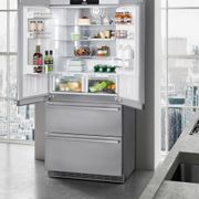 Холодильник Liebherr / CBNes6256