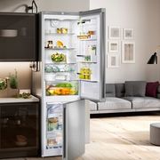 Холодильник Liebherr / CNPef 4813 NoFrost