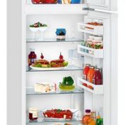 Холодильник Liebherr / CTP 2921